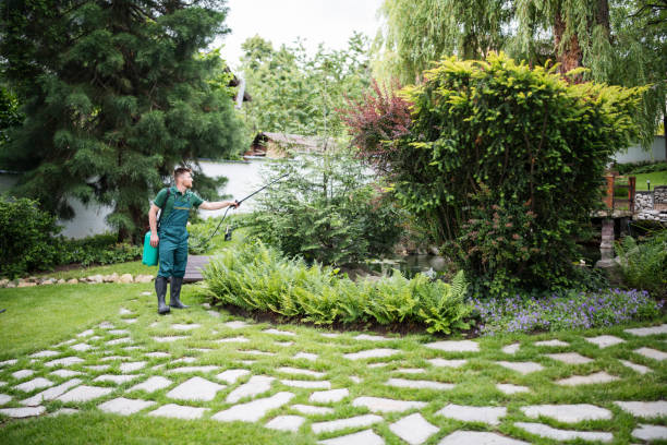 Best Affordable Pest Control Services  in Dunedin, FL