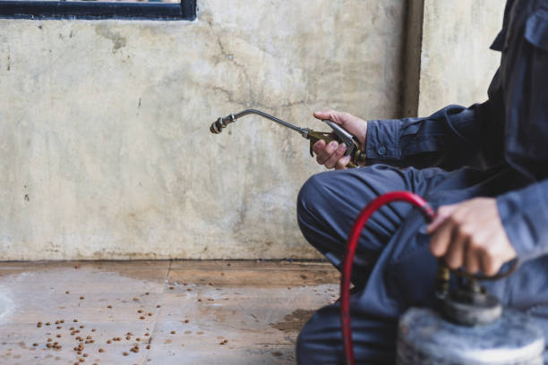 Best Affordable Pest Control Services  in Dunedin, FL